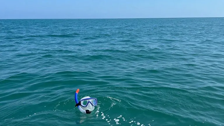 Illustration for: Woman dies at clinic after trying to save sons from Bimini current